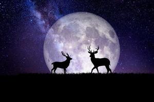 la sagoma di un cervo notturno sullo sfondo di un grande elemento lunare dell'immagine è decorata dalla nasa foto
