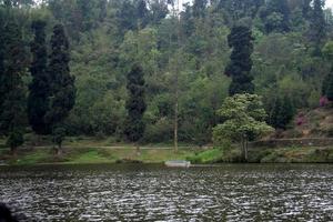 lago nella foresta foto