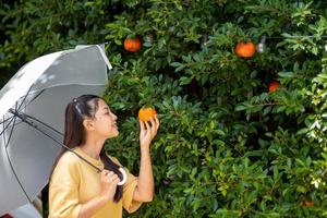 le ragazze dell'orto arancio raccolgono le arance all'orto degli aranci. foto