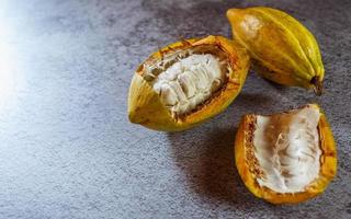 frutto di cacao biologico dell'albero di cacao su sfondo grigio foto