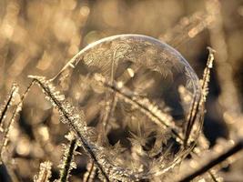 bolla di sapone su cui si sono formati cristalli di ghiaccio a causa del gelo. alla luce del sole al tramonto. foto