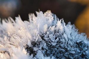 cristalli di ghiaccio che si sono formati su un tronco d'albero e sono cresciuti in altezza. foto