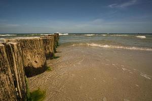 presso lo stand del mar baltico a zingst. vista mare con pennelli foto