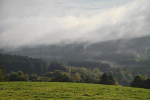 nebbia che si muove sulla foresta. atmosfera autunnale nel saarland. foto