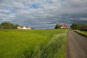 paesaggio pittoresco con natura verde in Islanda durante l'estate. immagine con una natura molto tranquilla e innocente. foto