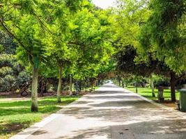 hdr giardini pubblici parco pubblico a cagliari foto