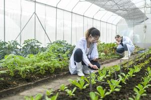 scientis sta analizzando piante di ortaggi biologici in serra, concetto di tecnologia agricola foto