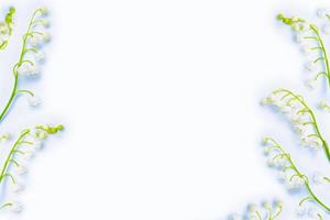 mughetto fiore su sfondo bianco. foto