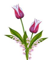 fiori primaverili mughetto, tulipani foto
