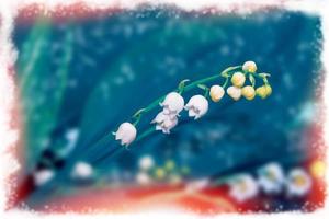 paesaggio primaverile. fiori di mughetto foto