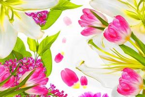 primavera fiori colorati tulipani, lilla. collezione floreale. foto