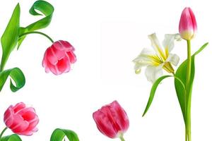 fiori primaverili tulipani e gigli foto