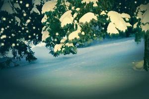 foresta invernale ghiacciata con alberi innevati. foto