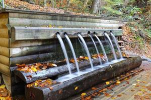 fontana nel parco nazionale di yedigoller, bolu, turchia foto