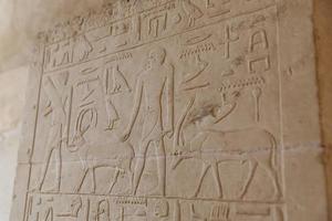 scene nella necropoli di saqqara, cairo, egitto foto