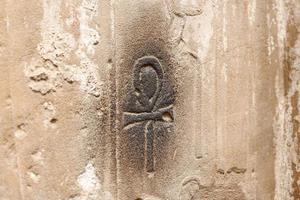 geroglifici egizi nel tempio di luxor, luxor, egitto foto