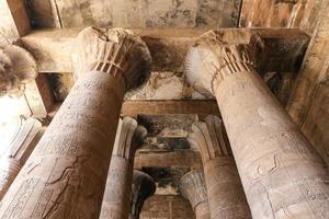 colonne nel tempio di edfu, edfu, egitto foto