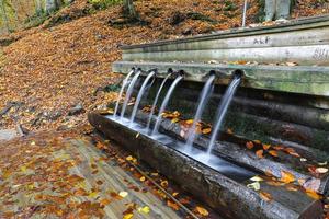 fontana nel parco nazionale di yedigoller, bolu, turchia foto