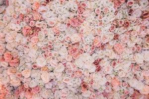 sfondo di fiori di rosa foto