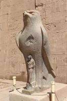 statua di horus nel tempio di edfu, edfu, egitto foto