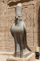 statua di horus nel tempio di edfu, edfu, egitto foto