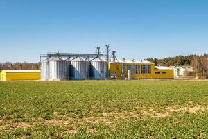 impianto di agro-trasformazione per la lavorazione e silos per asciugatura, pulitura e stoccaggio di prodotti agricoli, farine, cereali e granaglie. allevamento di pollame foto