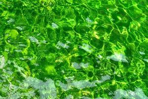 condizione acqua verde che si riflette nel sole foto