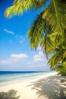 spiaggia delle maldive