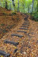 percorso nel parco nazionale di yedigoller, bolu, turchia foto