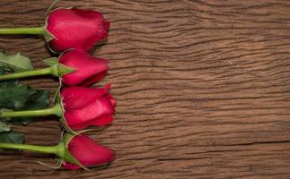 rosa rossa su sfondo di legno foto