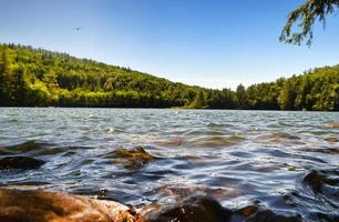 Emerland Lake State Park, Dorset, Vermont foto