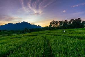 panorama delle bellezze naturali dell'asia. vista delle risaie con una bellissima alba e irrorazione degli agricoltori foto