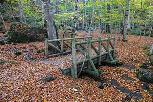 ponte di legno nel parco nazionale di yedigoller, bolu, turchia foto