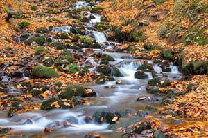 cascata nel parco nazionale di yedigoller, bolu, turchia foto