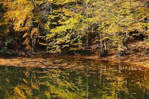 lago buyuk nel parco nazionale yedigoller, bolu, turchia foto