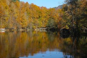 lago buyuk nel parco nazionale yedigoller, bolu, turchia foto