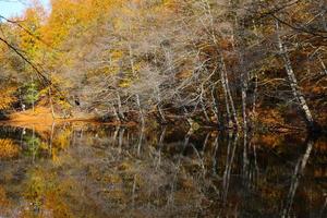 lago derin nel parco nazionale di yedigoller, bolu, turchia foto