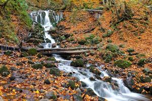 cascata nel parco nazionale di yedigoller, bolu, turchia foto