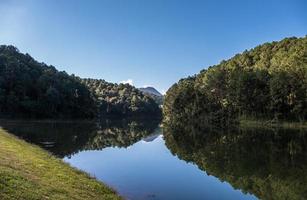 riflesso della pineta dall'acqua limpida. foto