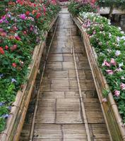 ponte di bambù con la fila di fiori. foto