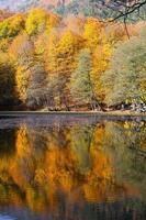 lago derin nel parco nazionale di yedigoller, bolu, turchia foto