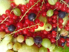 assortimento di bacche diverse. un cesto di frutti di bosco. sfondo di bacche estive. foto di ribes, uva spina, lamponi, mele