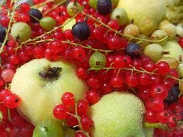 assortimento di bacche diverse. un cesto di frutti di bosco. sfondo di bacche estive. foto di ribes, uva spina, lamponi, mele