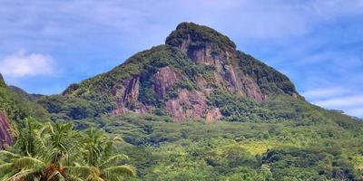 belle impressioni del paesaggio tropicale nel paradiso delle isole seychelles foto