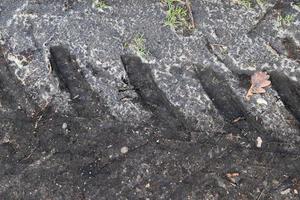 vista ravvicinata dettagliata su terreni agricoli e acri in alta risoluzione foto