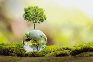 crescita dell'albero sul vetro del globo in natura. concetto eco giornata della terra foto