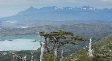 torres del paine, cile, sud america foto