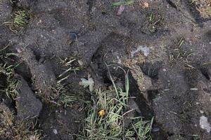 vista ravvicinata dettagliata su terreni agricoli e acri in alta risoluzione foto