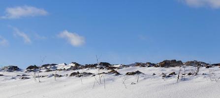 neve in inverno foto