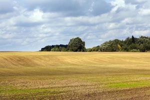 campo agricolo e forestale foto